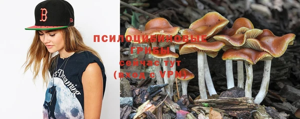 ешки Абинск