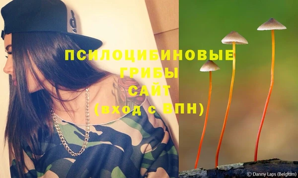 ешки Абинск